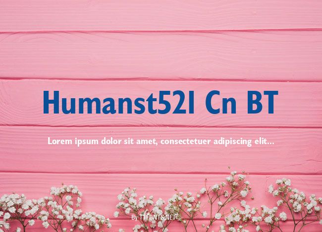 Humanst521 Cn BT example